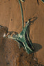 ‘OLIVE GLOW’ BOTTOM